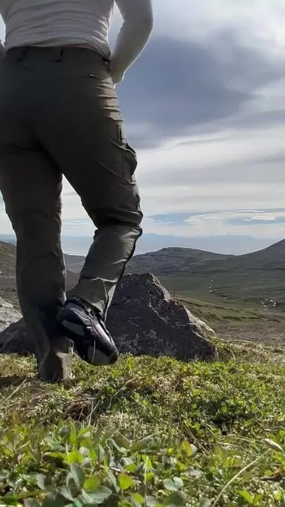 Perrito con vistas